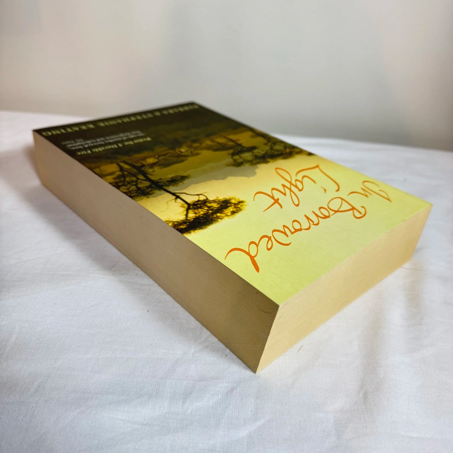 In Borrowed Light - Barbara & Stephanie Keating