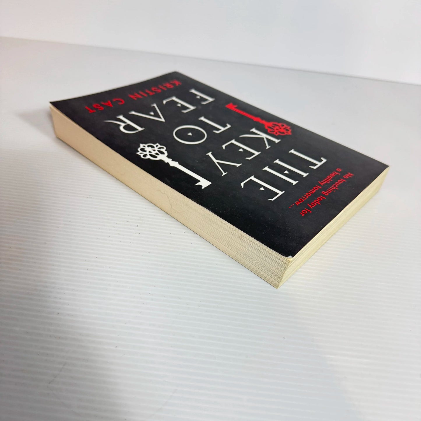 The Key To Fear - Kristin Cast