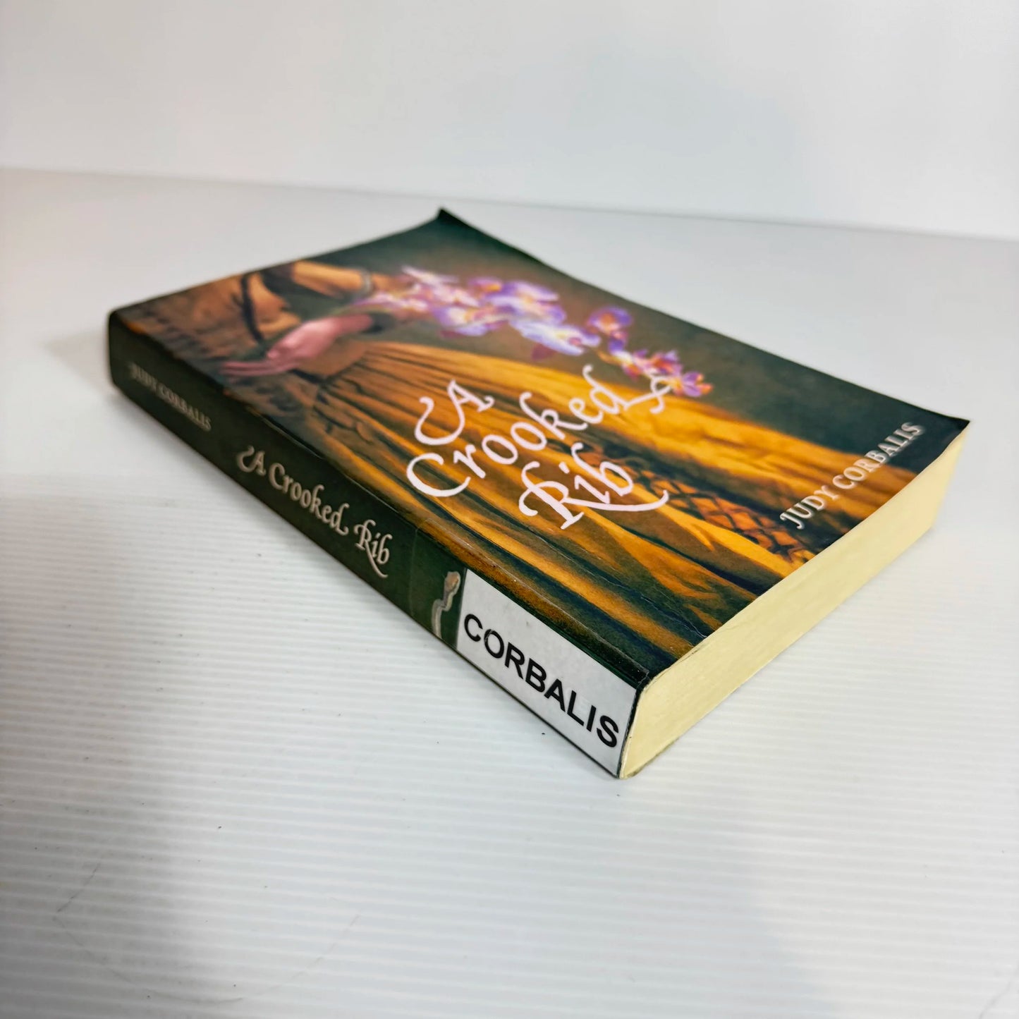 A Crooked Rib - Judy Cornbalis