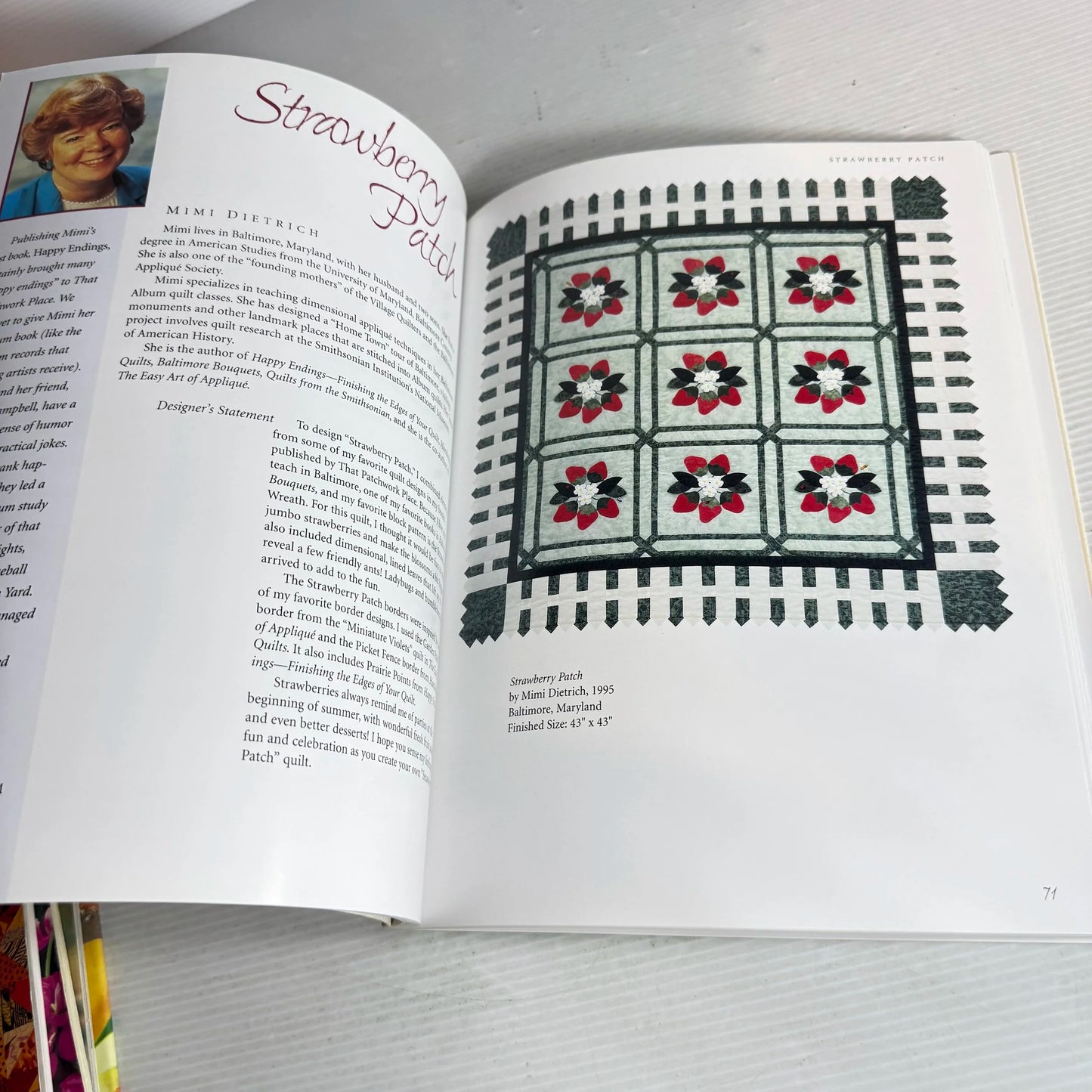 Celebrating the Quilt : Twenty Quilts for Twenty Years