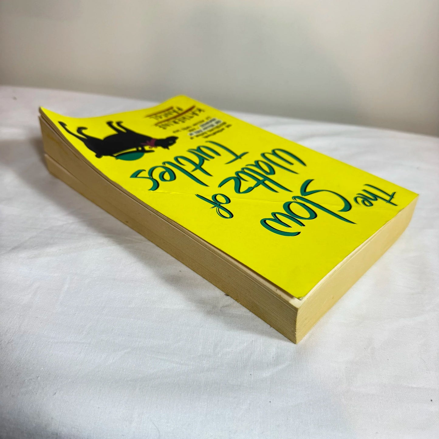 The Slow Waltz of Turtles - Katherine Pancol