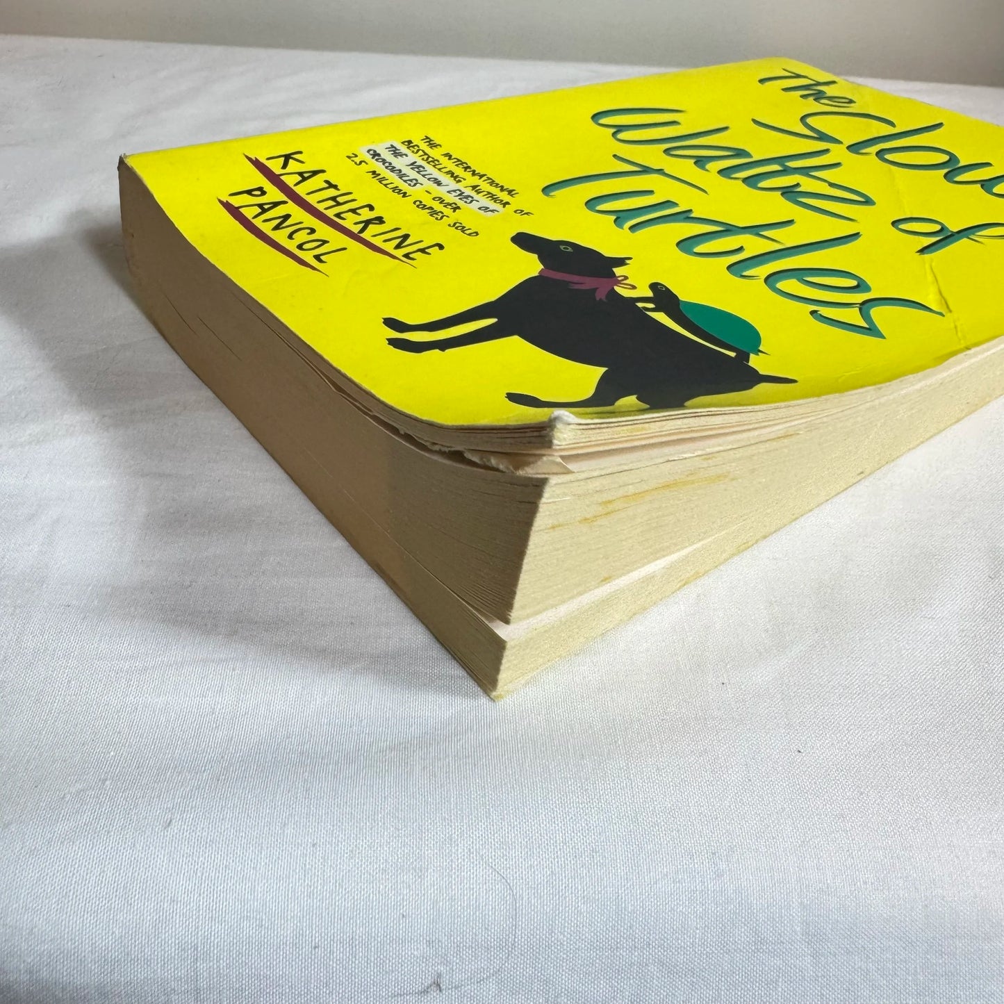 The Slow Waltz of Turtles - Katherine Pancol