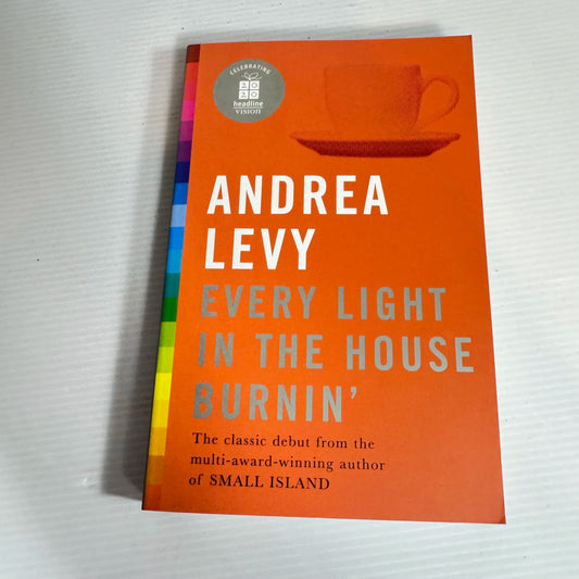 Every Light In The House Burnin' - Andrea Levy