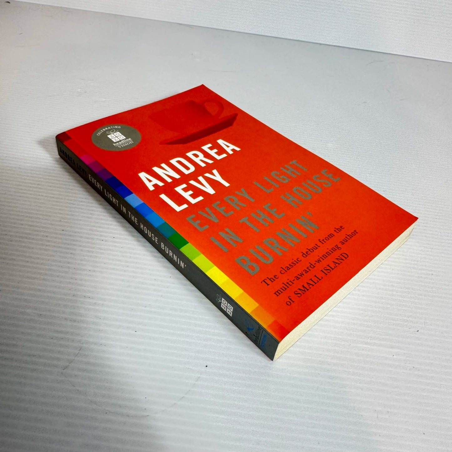 Every Light In The House Burnin' - Andrea Levy