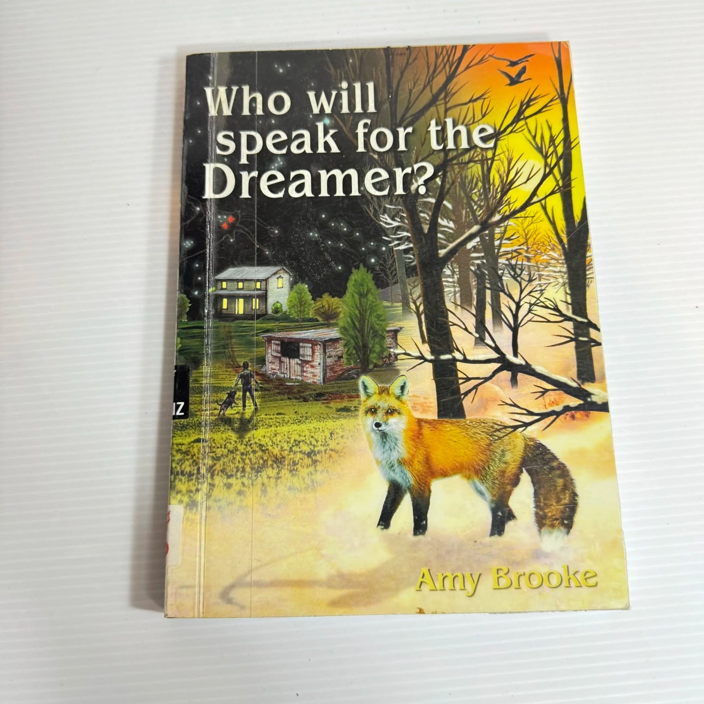 Who Will Speak For The Dreamer? - Amy Brooke