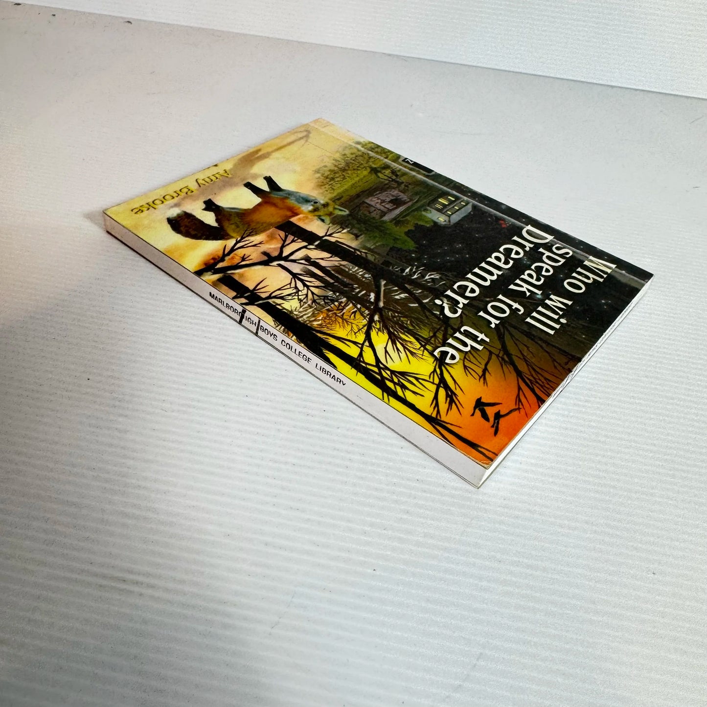 Who Will Speak For The Dreamer? - Amy Brooke