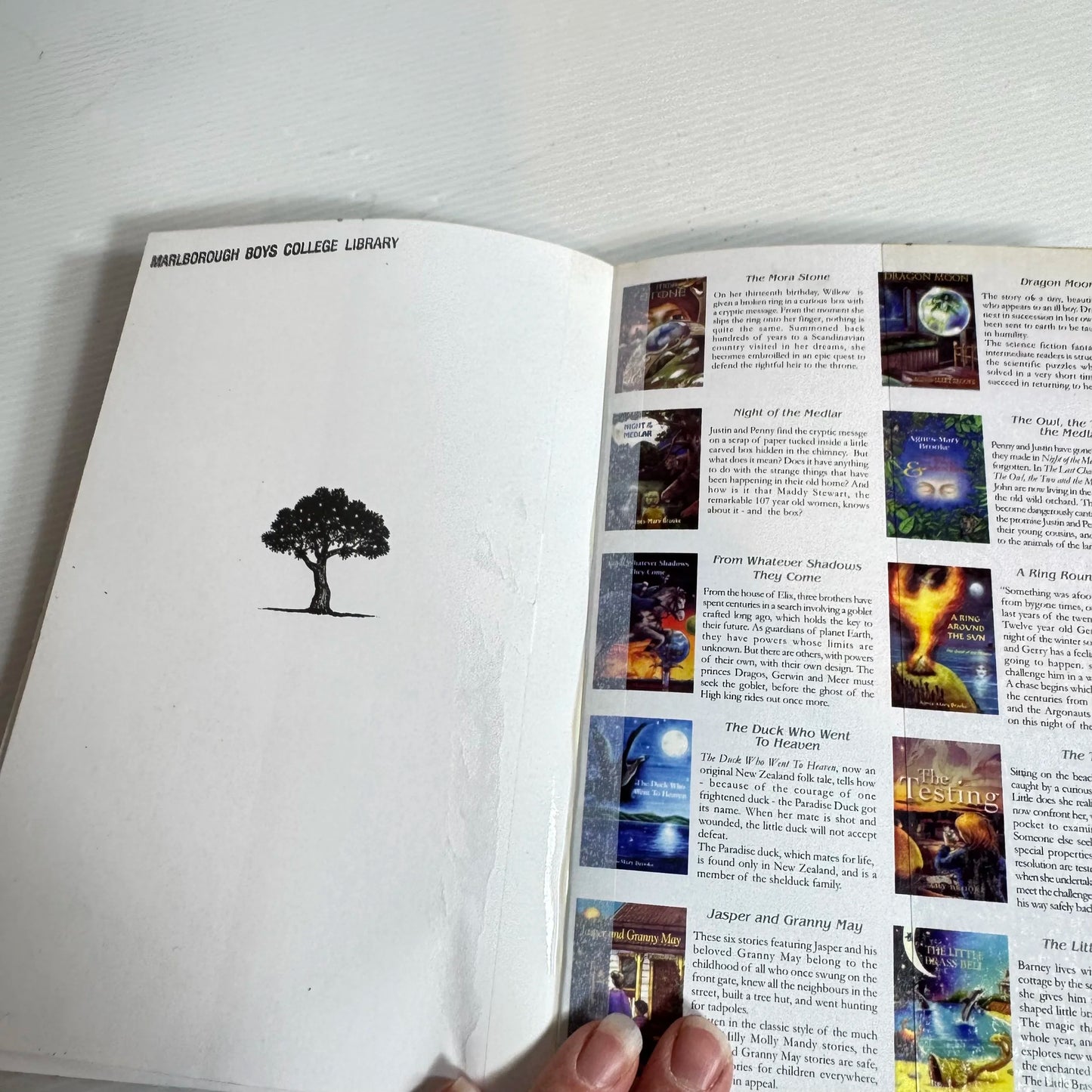 Who Will Speak For The Dreamer? - Amy Brooke