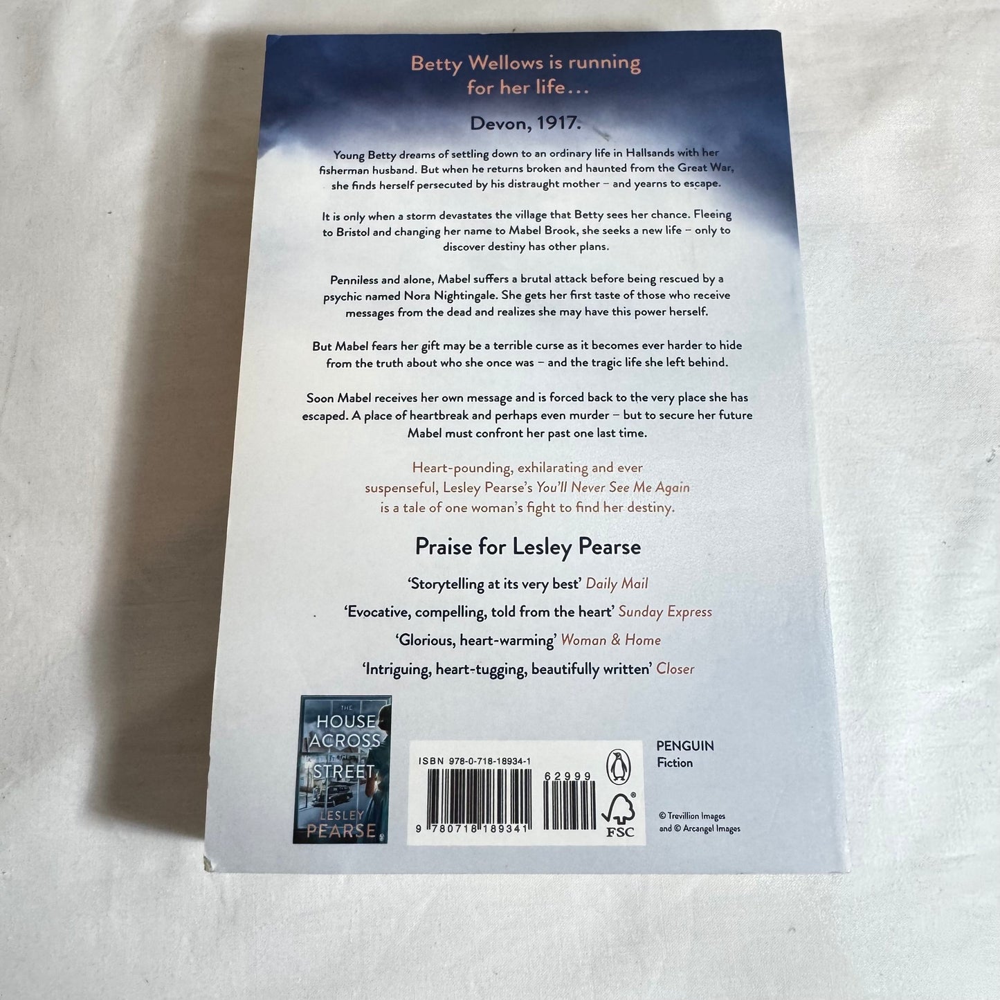 You'll Never See Mee Again - Lesley Pearse