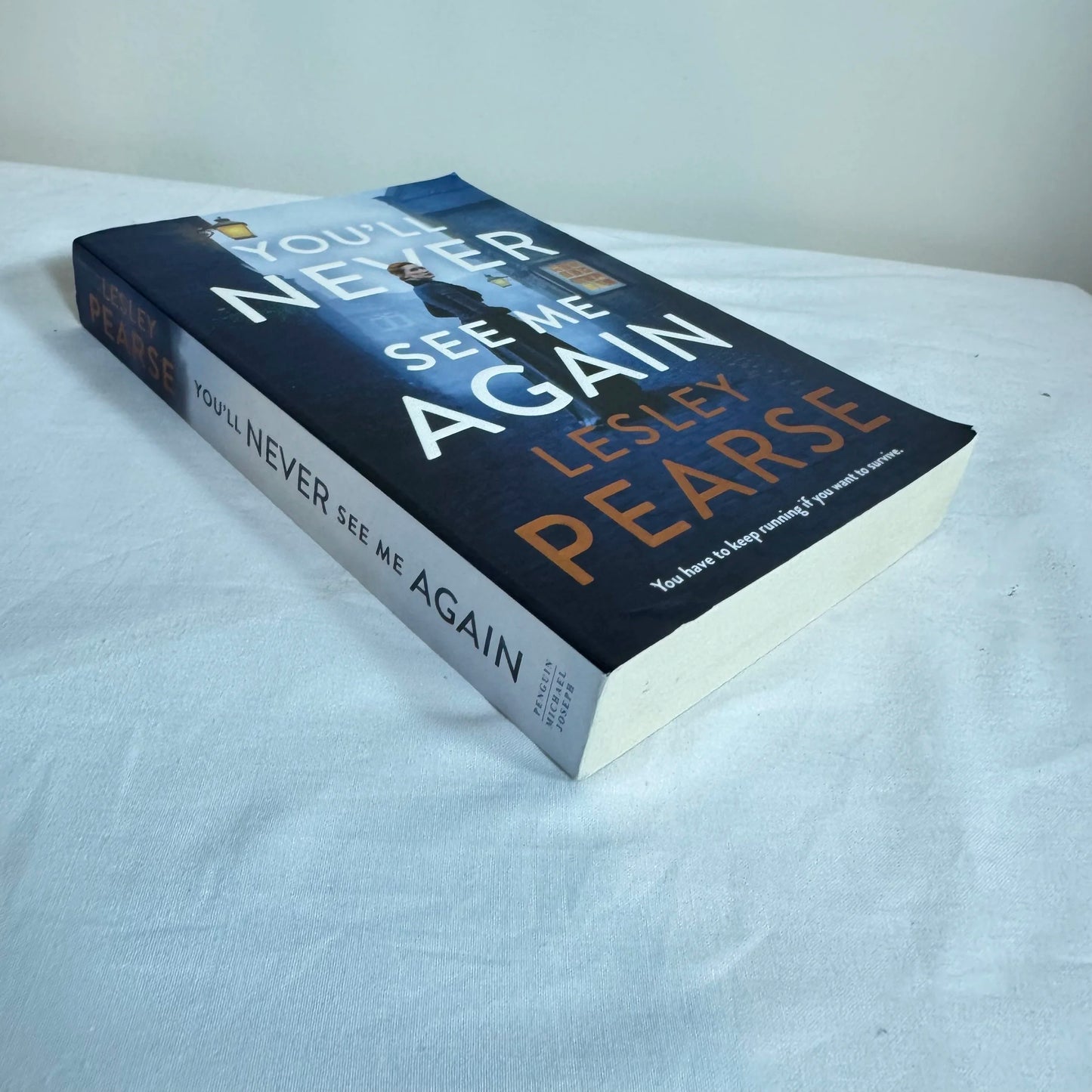 You'll Never See Mee Again - Lesley Pearse