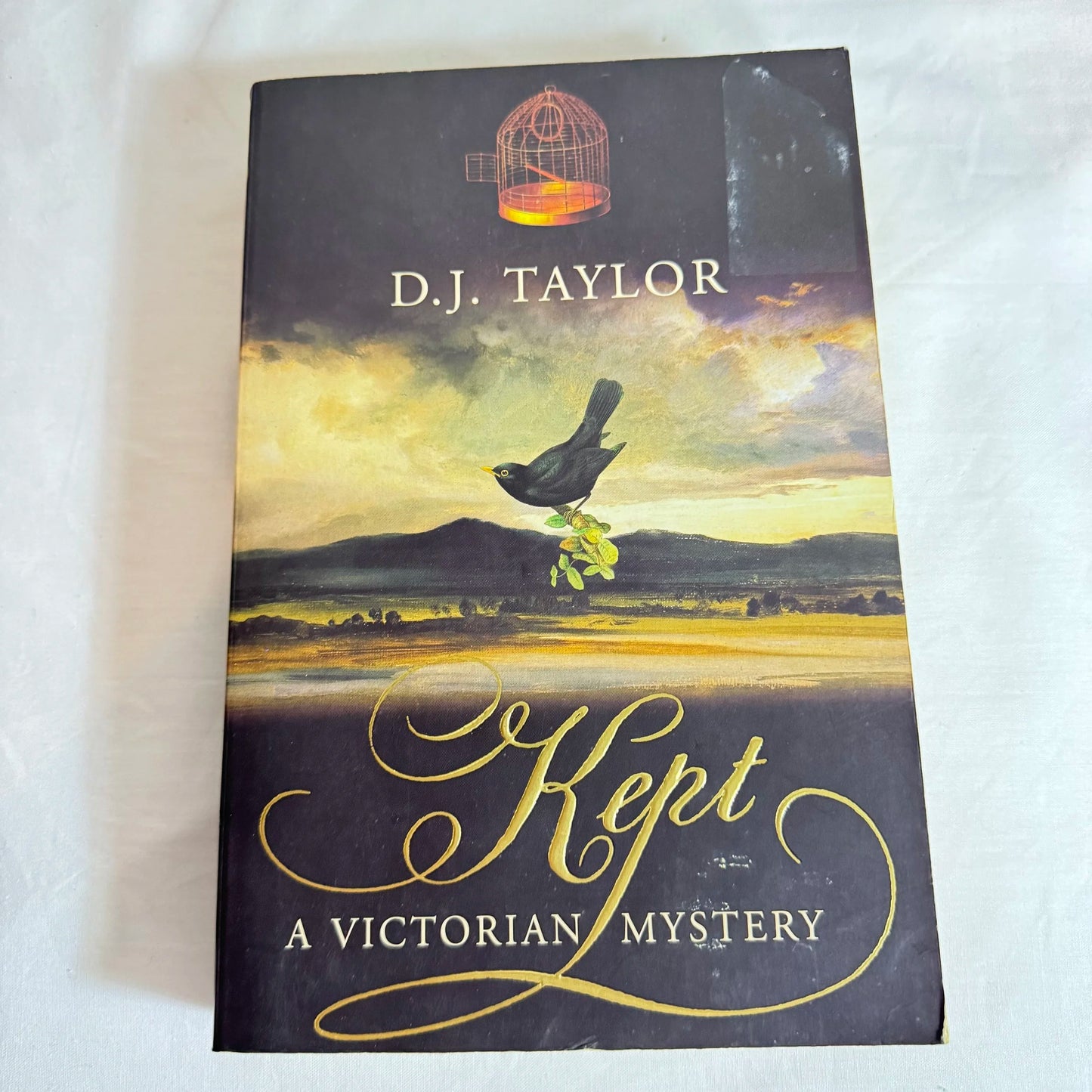 Kept : A Victorian Mystery - D.J. Taylor