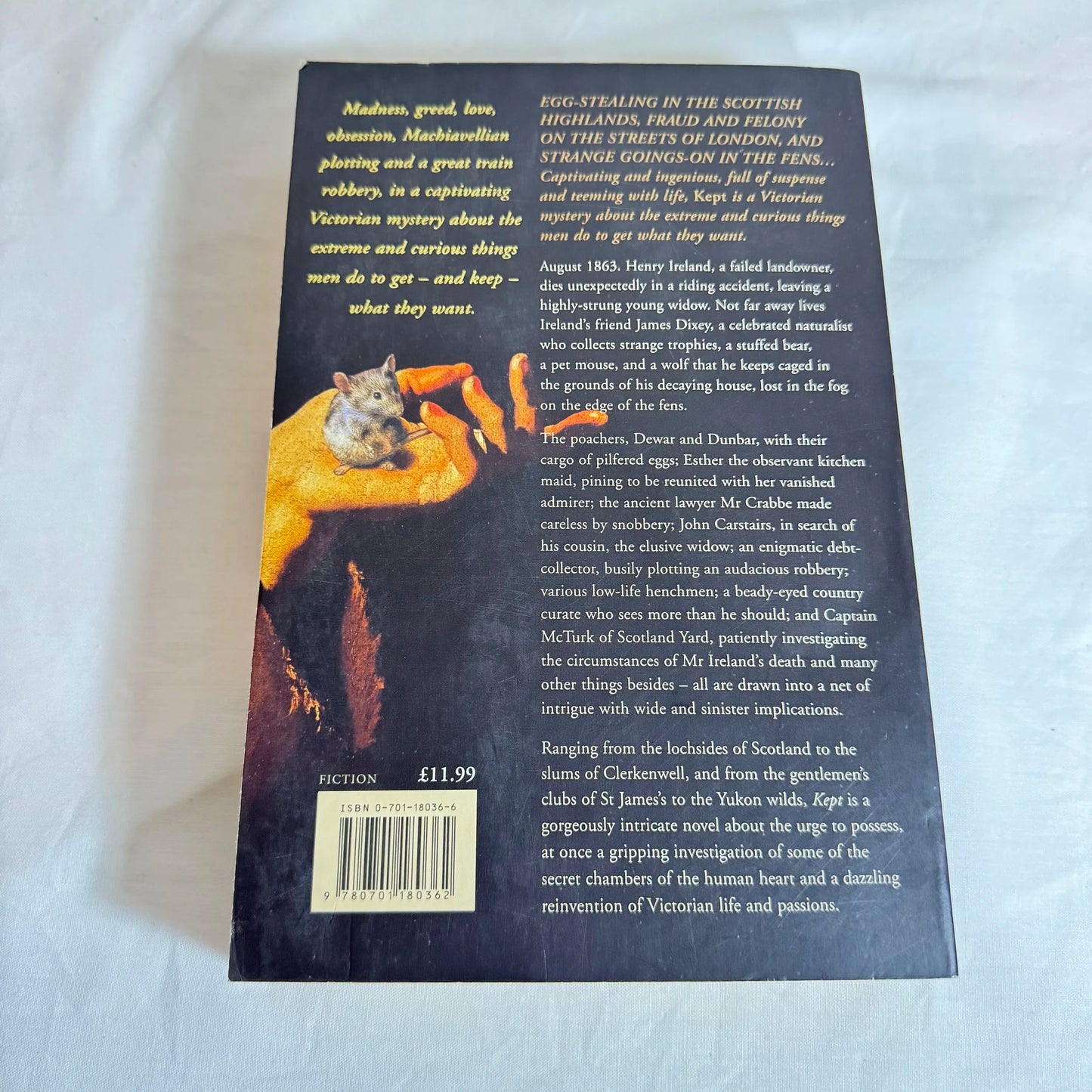 Kept : A Victorian Mystery - D.J. Taylor