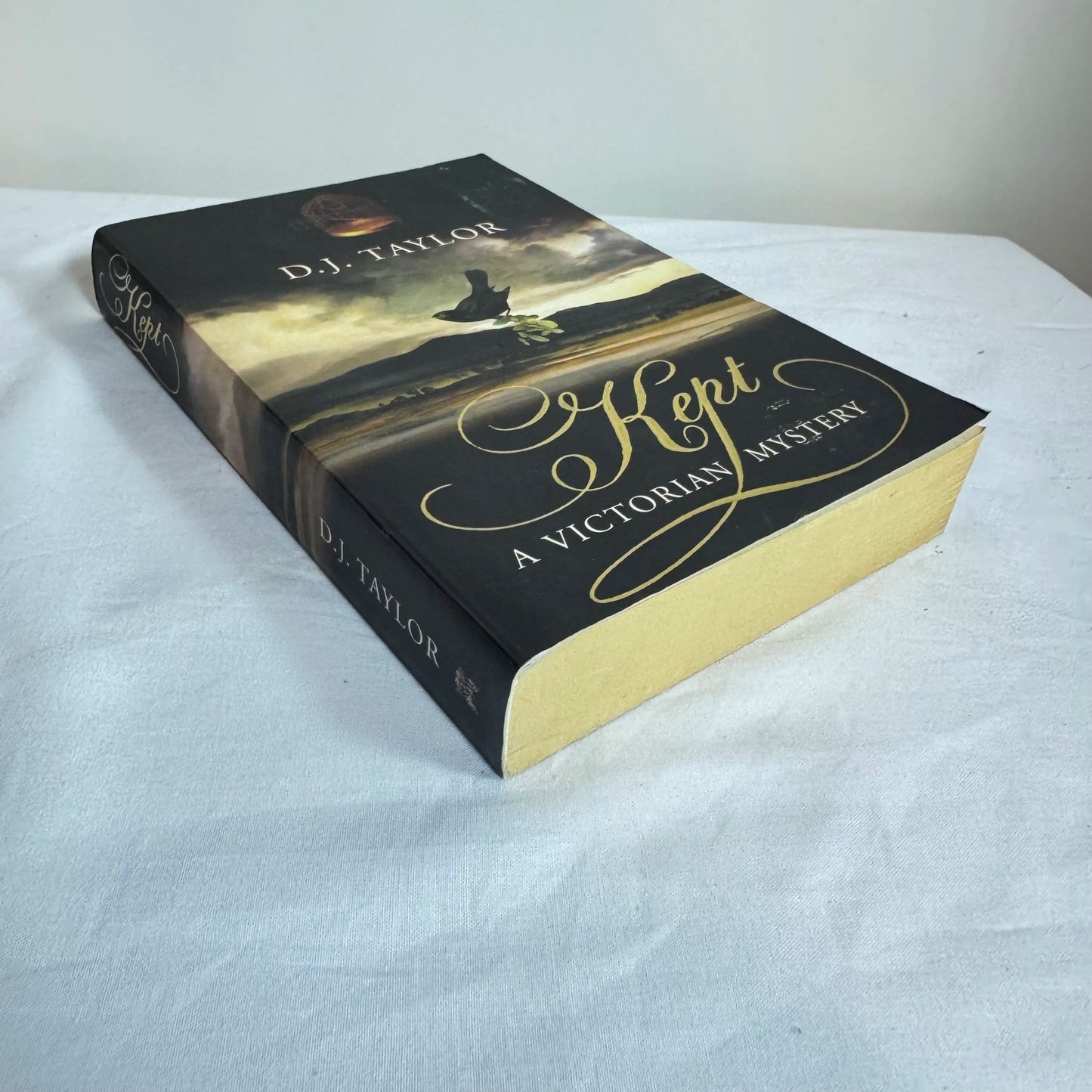 Kept : A Victorian Mystery - D.J. Taylor