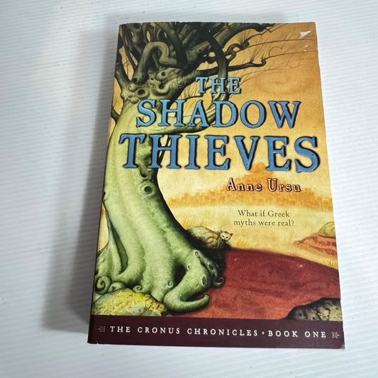 The Shadow Thieves - Anne Urse
