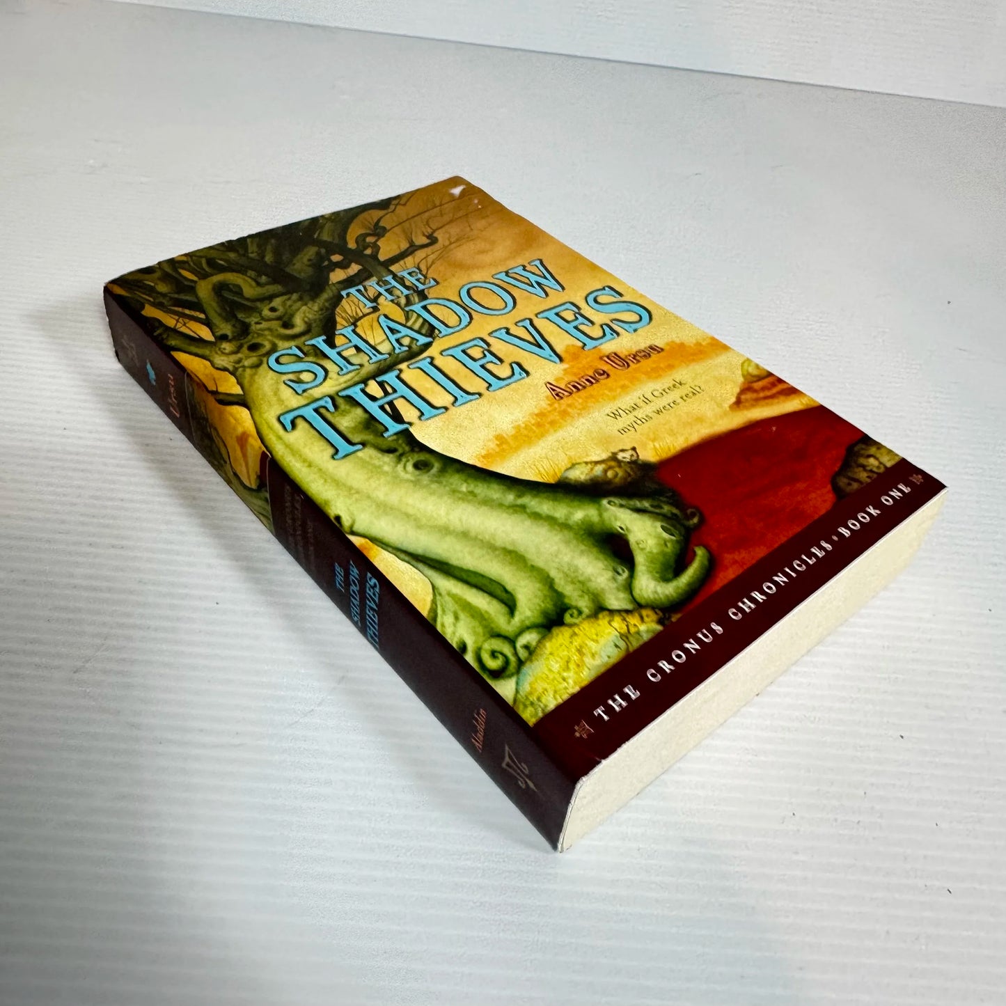 The Shadow Thieves - Anne Urse