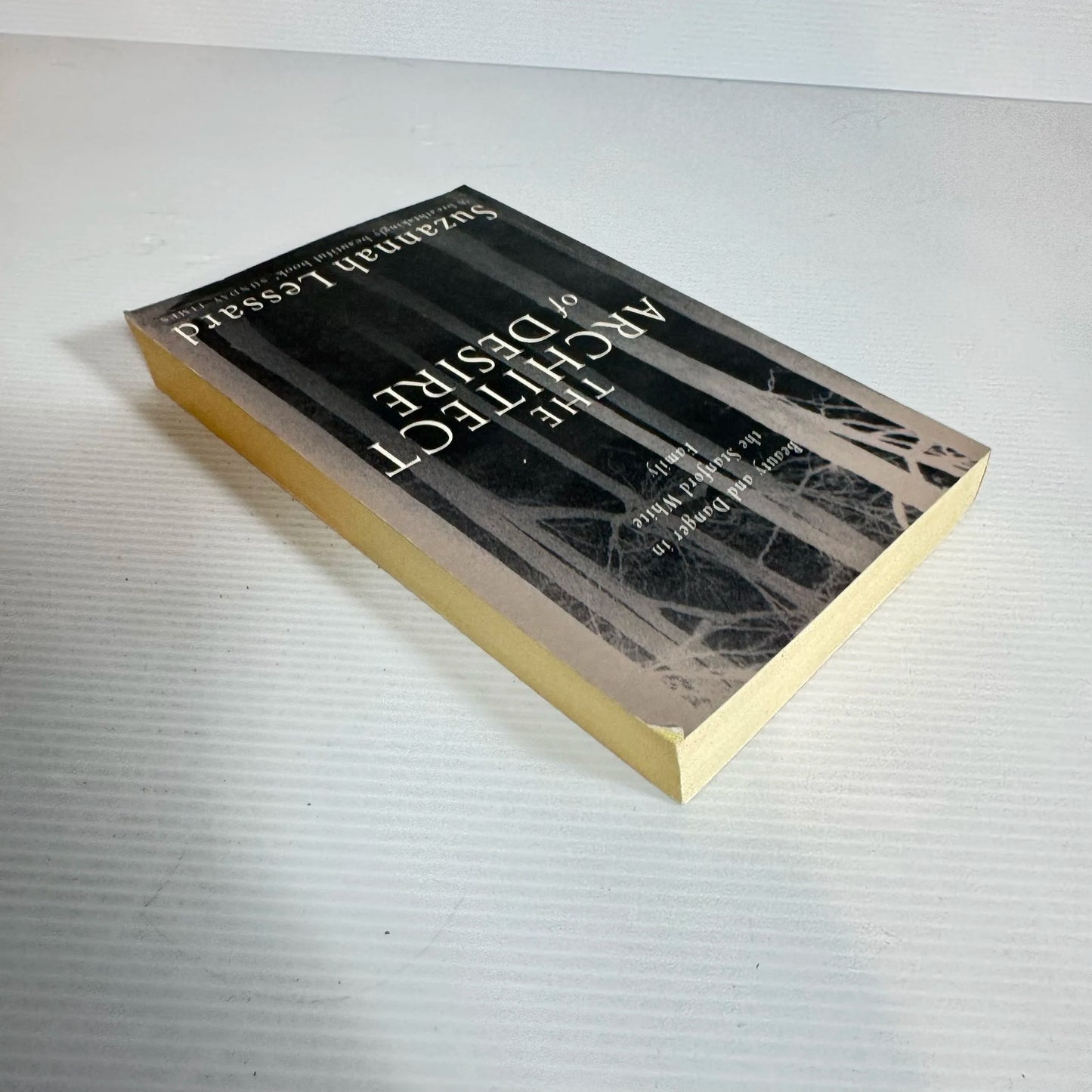 The Architect Of Desire - Suzannah Lessard