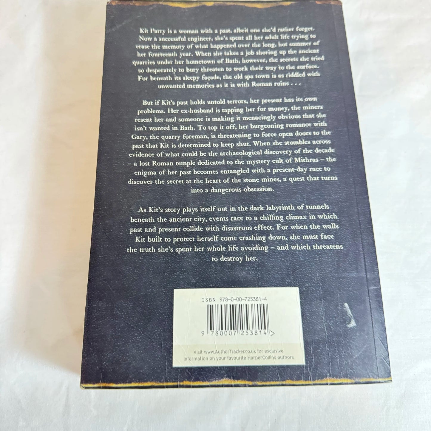 Crow Stone - Jenni Mills