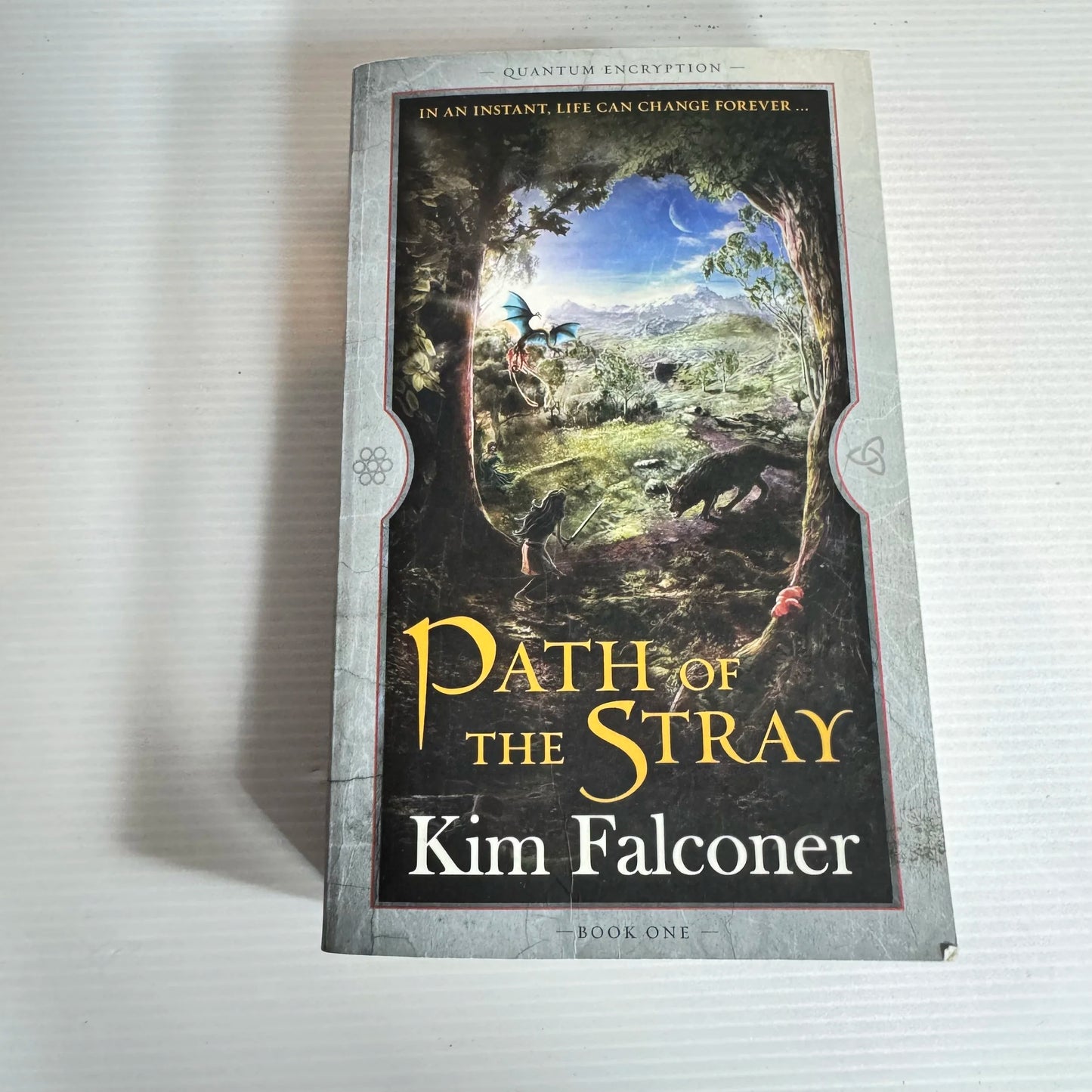 Path of the Stray - Kim Falconer