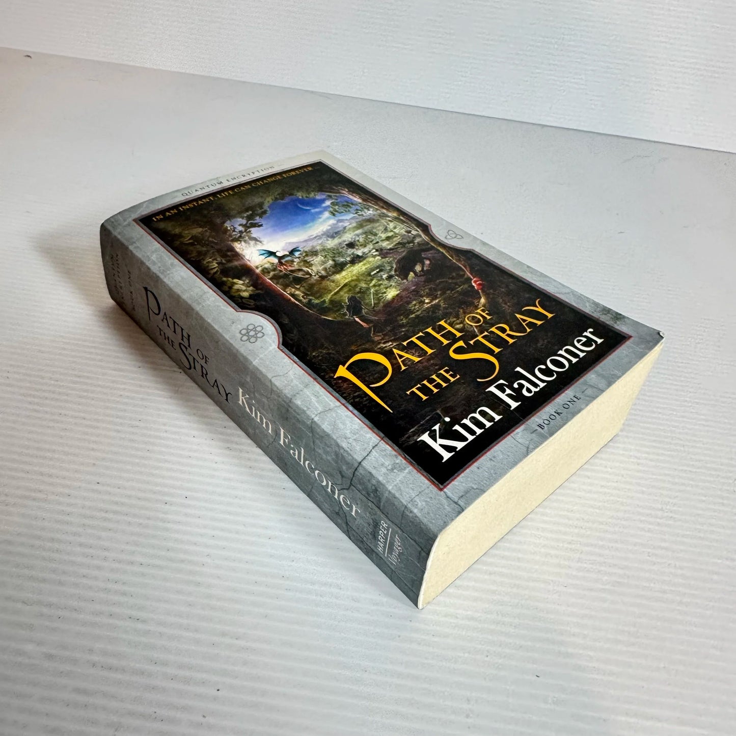 Path of the Stray - Kim Falconer