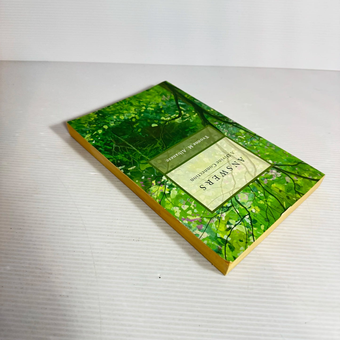 Answers : A Devine Connection - Yvonne M. Albanese