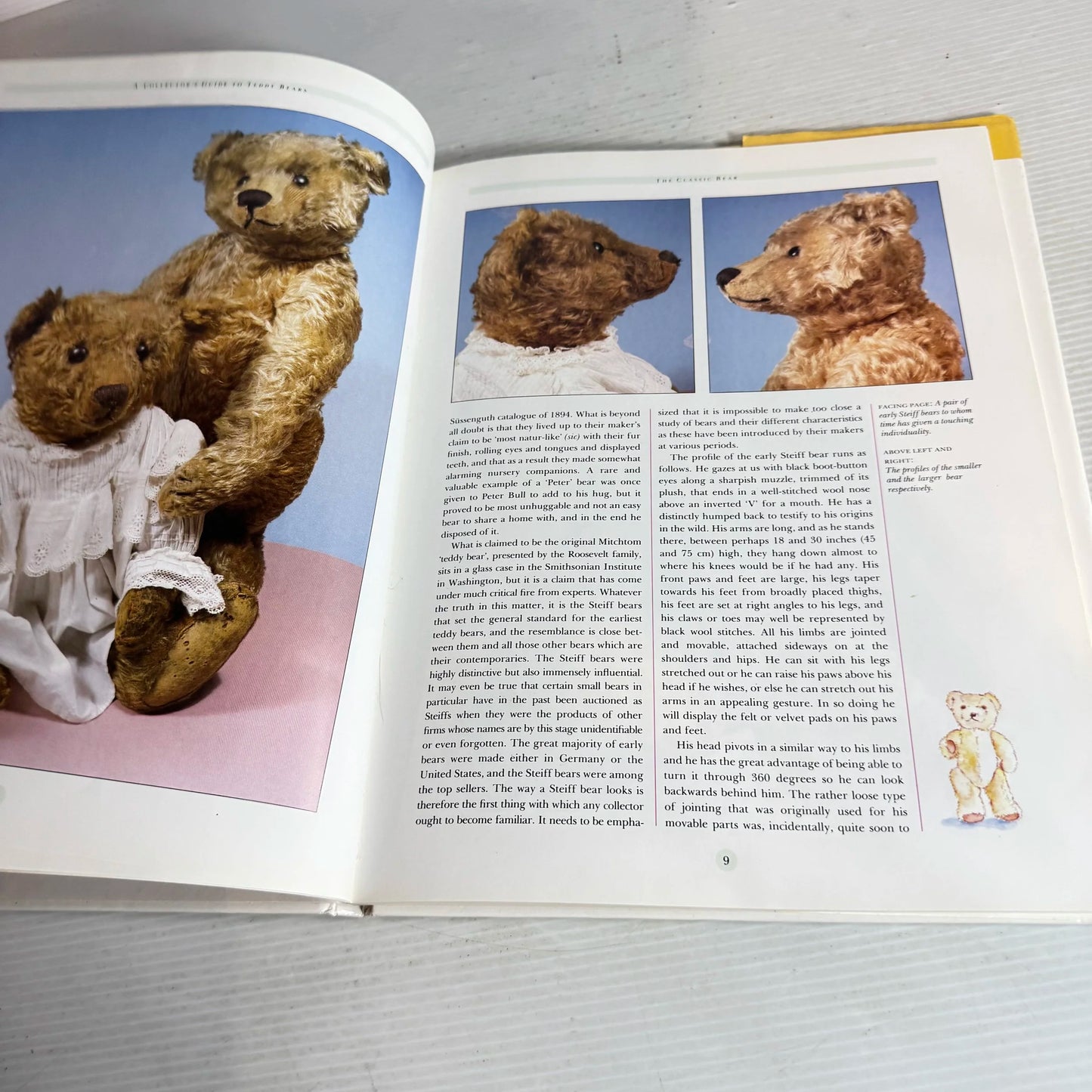 The Collector's Guide : Teddy Bears - Peter Ford (Vintage 1995)