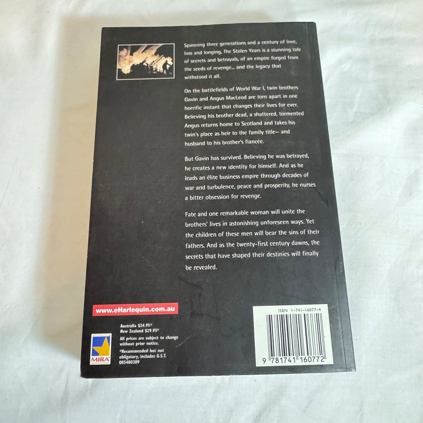 The Stolen Years - Fiona Hood-Stewart