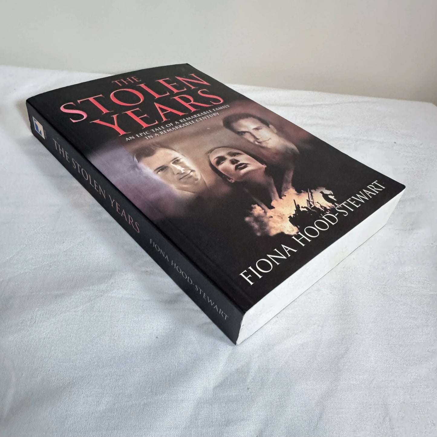 The Stolen Years - Fiona Hood-Stewart