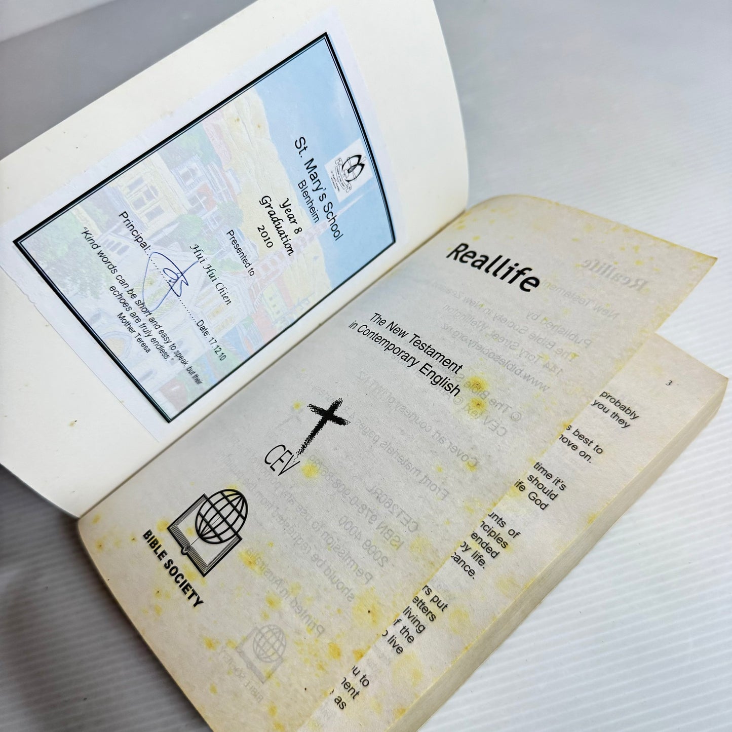 Real Life Bible - New Testament In Contemporary English