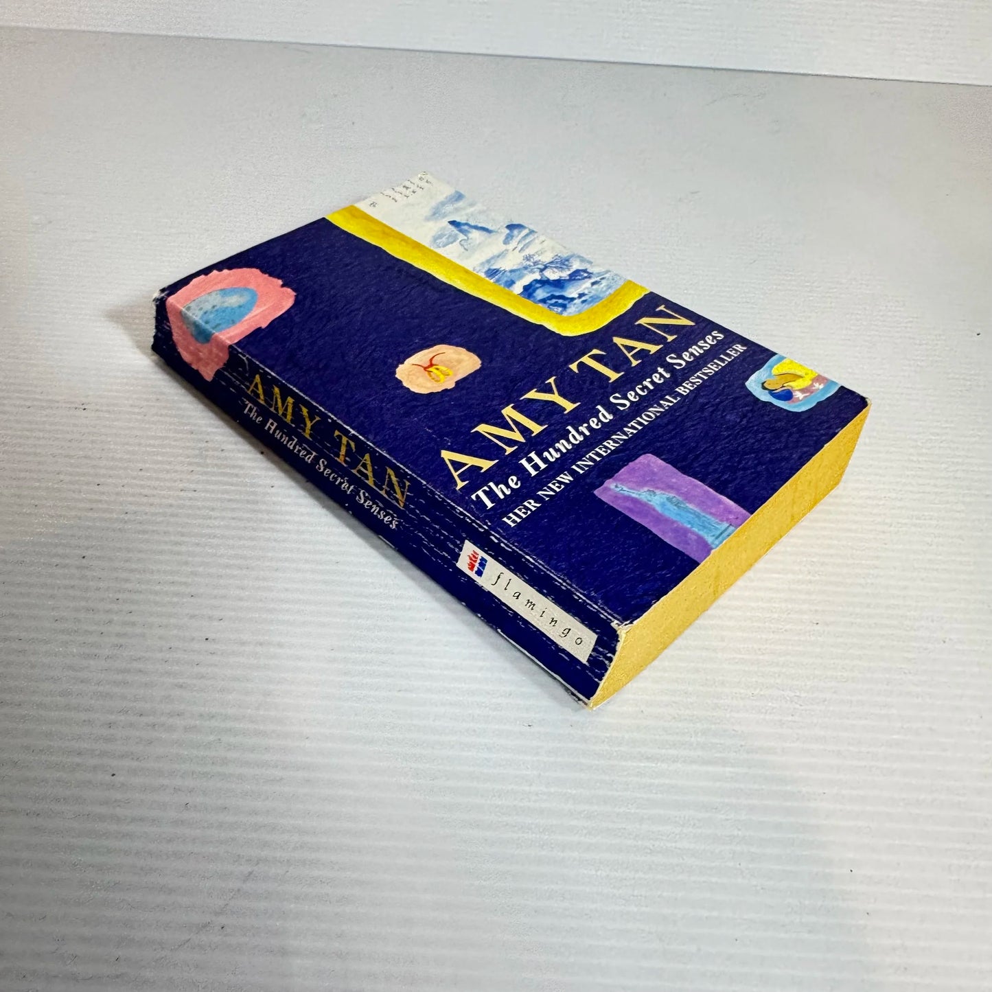 The Hundred Secret Senses - Amy Tan