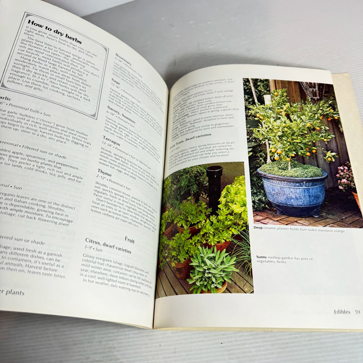 Gardening in Containers : Basic How-to's - Colourful Planting Ideas (Vintage 1977)