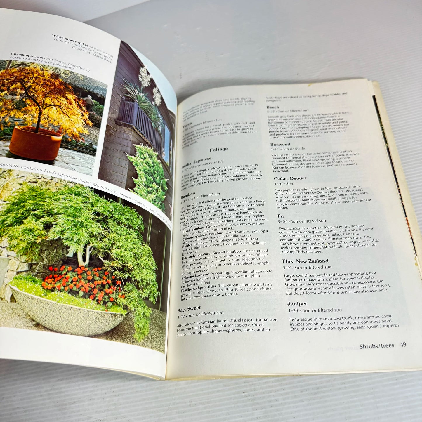 Gardening in Containers : Basic How-to's - Colourful Planting Ideas (Vintage 1977)