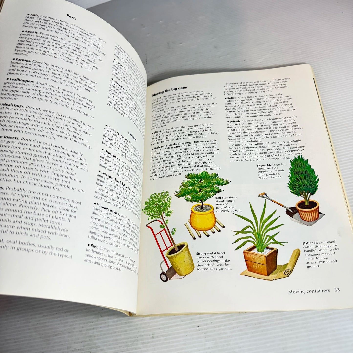 Gardening in Containers : Basic How-to's - Colourful Planting Ideas (Vintage 1977)