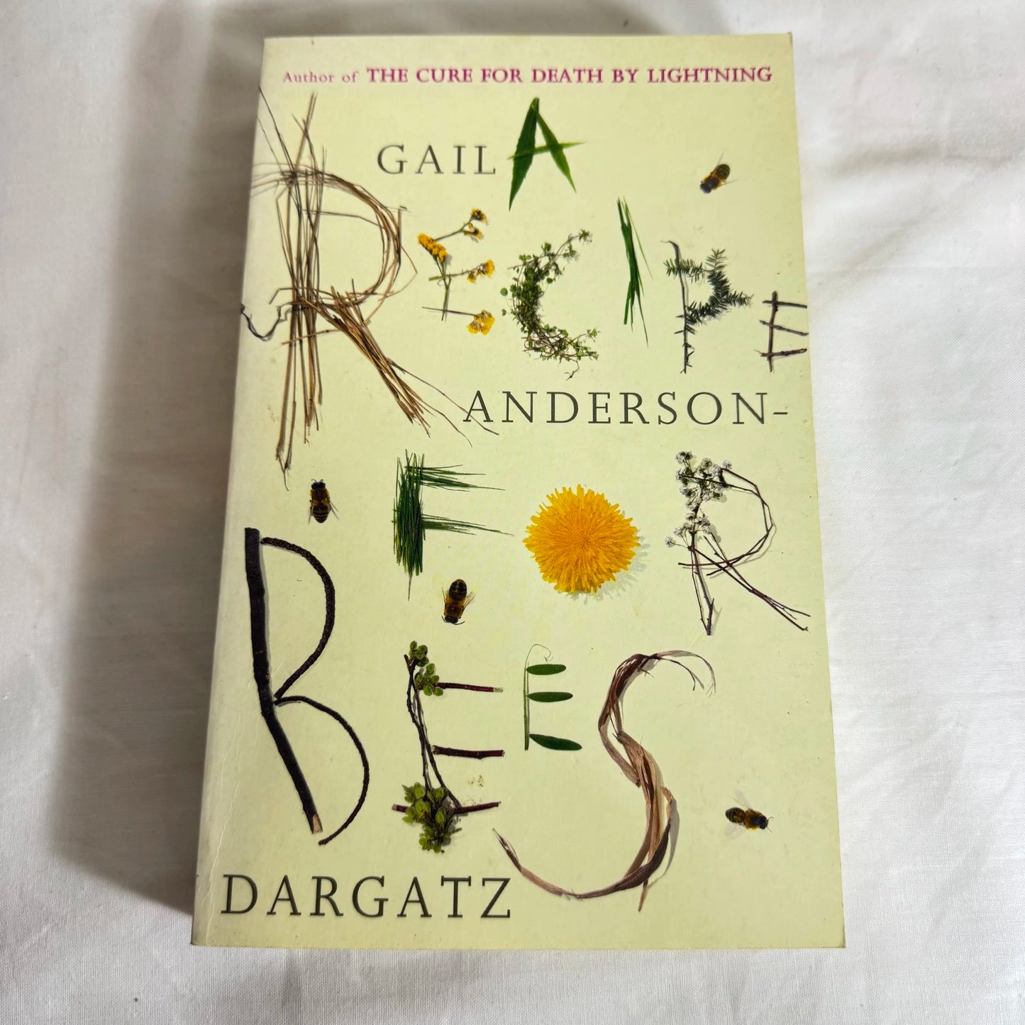 A Recipe For Bees - Gail Anderson-Dargatz