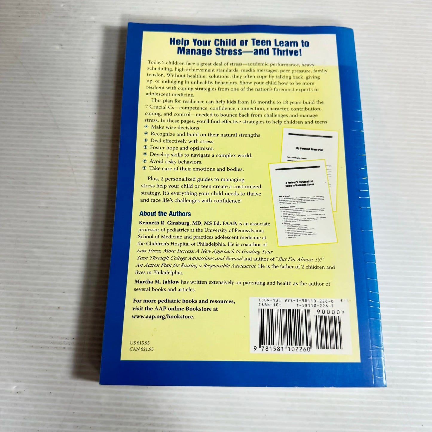A Parent's Guide To Building Resilience In Children And Teens - Kenneth R. Ginsburg