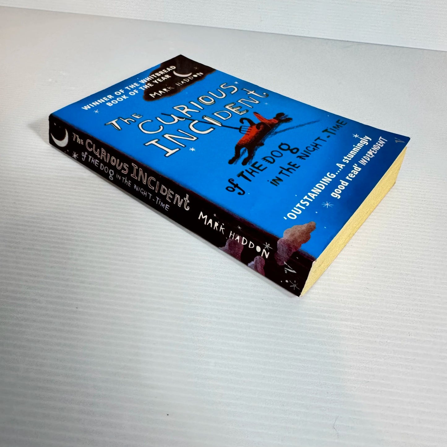 The Curious Incident of the Dog in the Night-Time - Mark Haddon