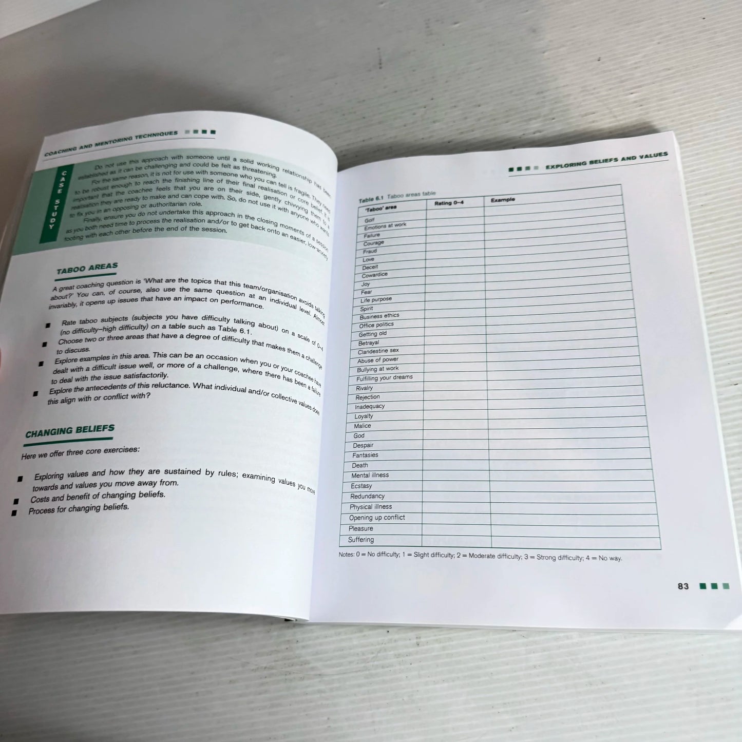 Techniques For Coaching And Mentoring (2nd Edition) - Natalie Lancer, David Clutterbuck and David Megginson