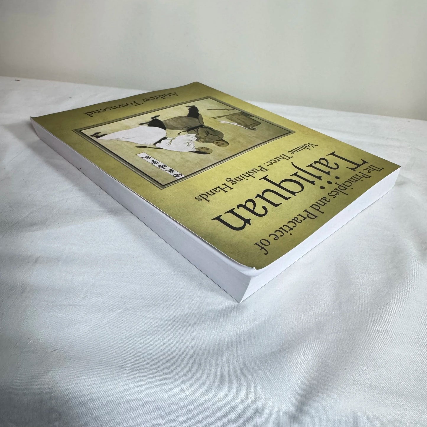 The Principles & Practices of Taijiquan Volume Three : Pushing Hands - Andrew Townsend