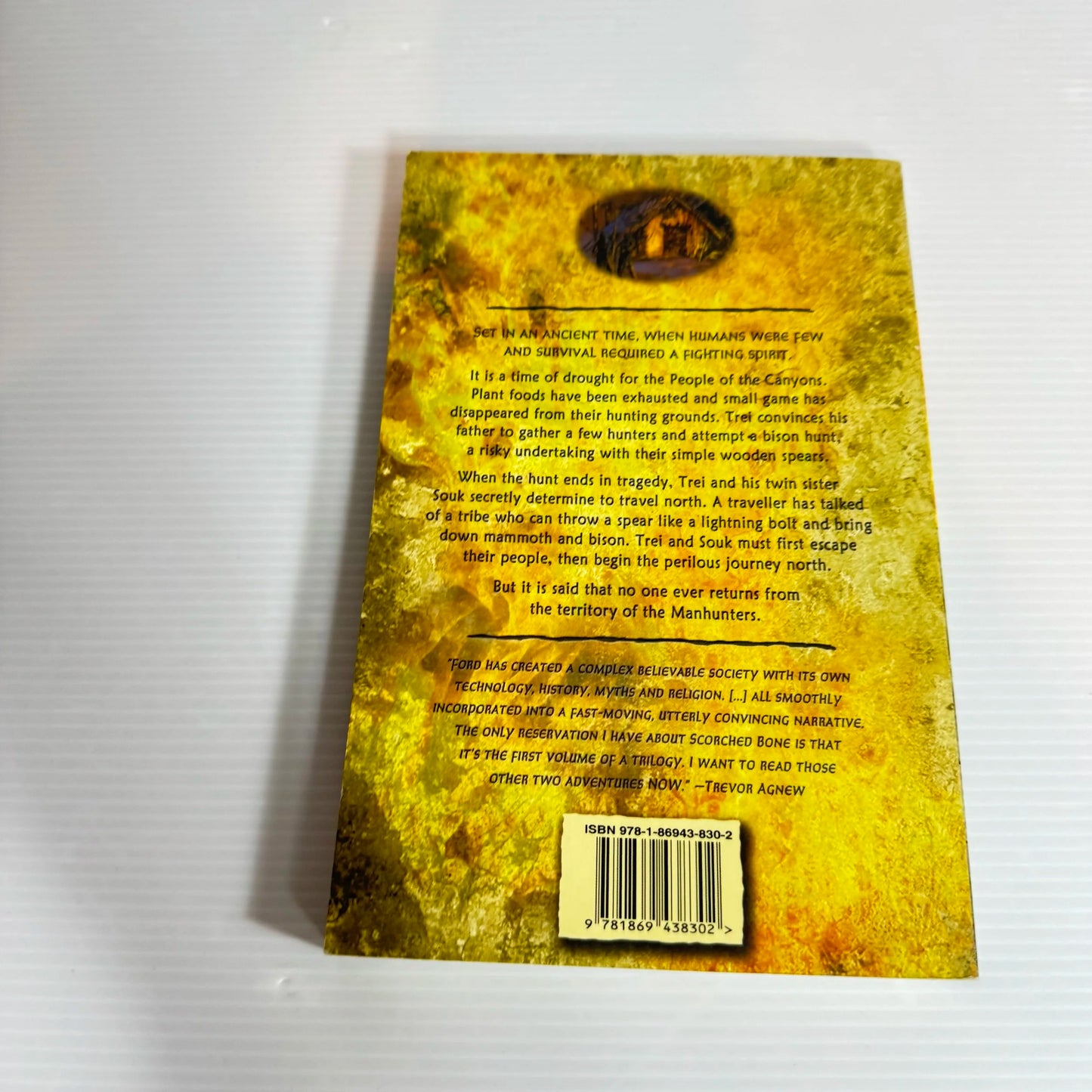 Chronicles of Stone : Scorched Bone - Vincent Ford