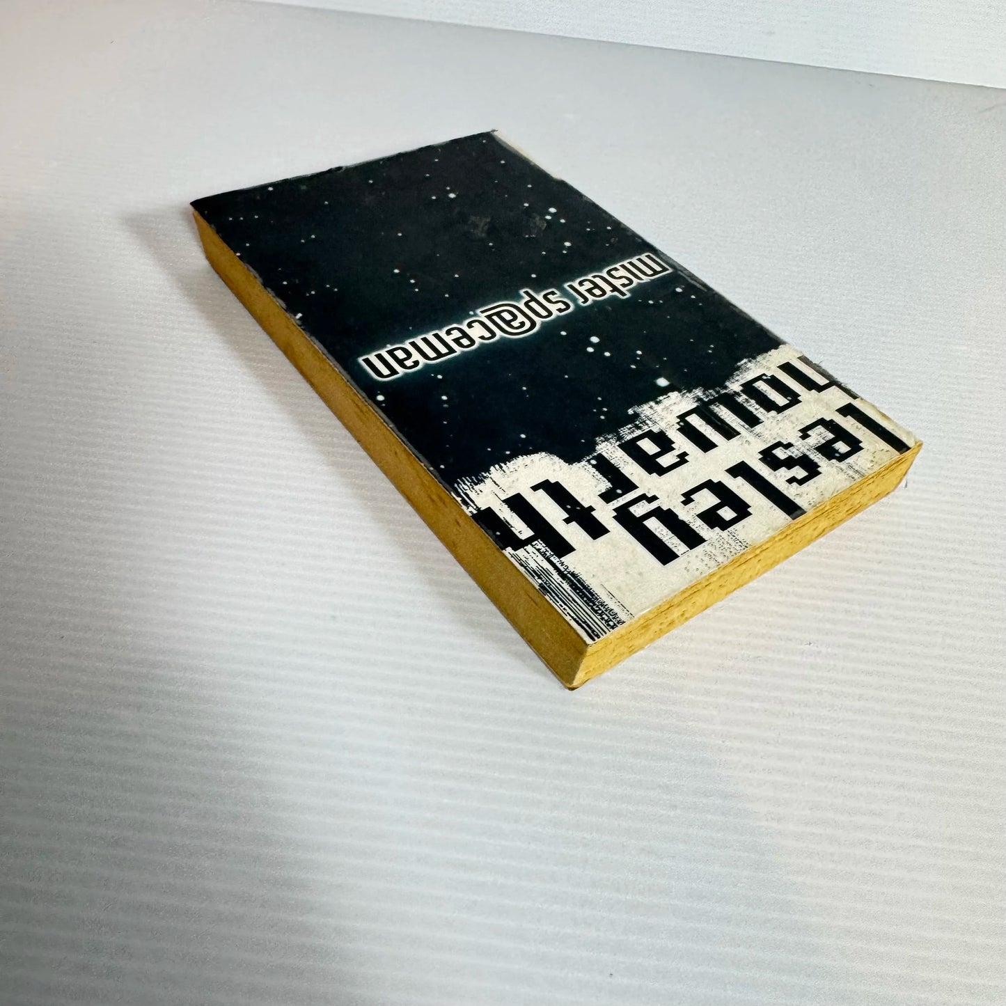 Mister Sp@ceman - Lesley Howarth