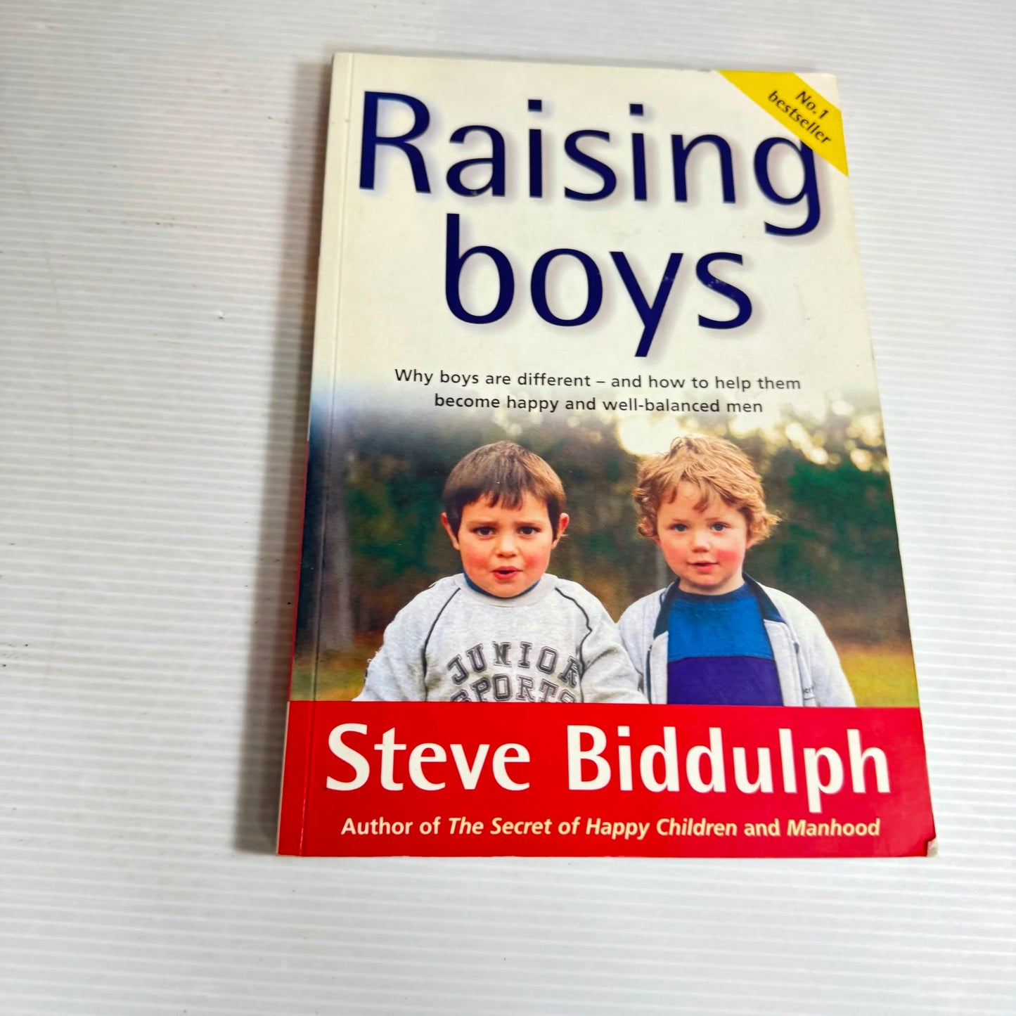 Raising Boys - Steve Biddulph