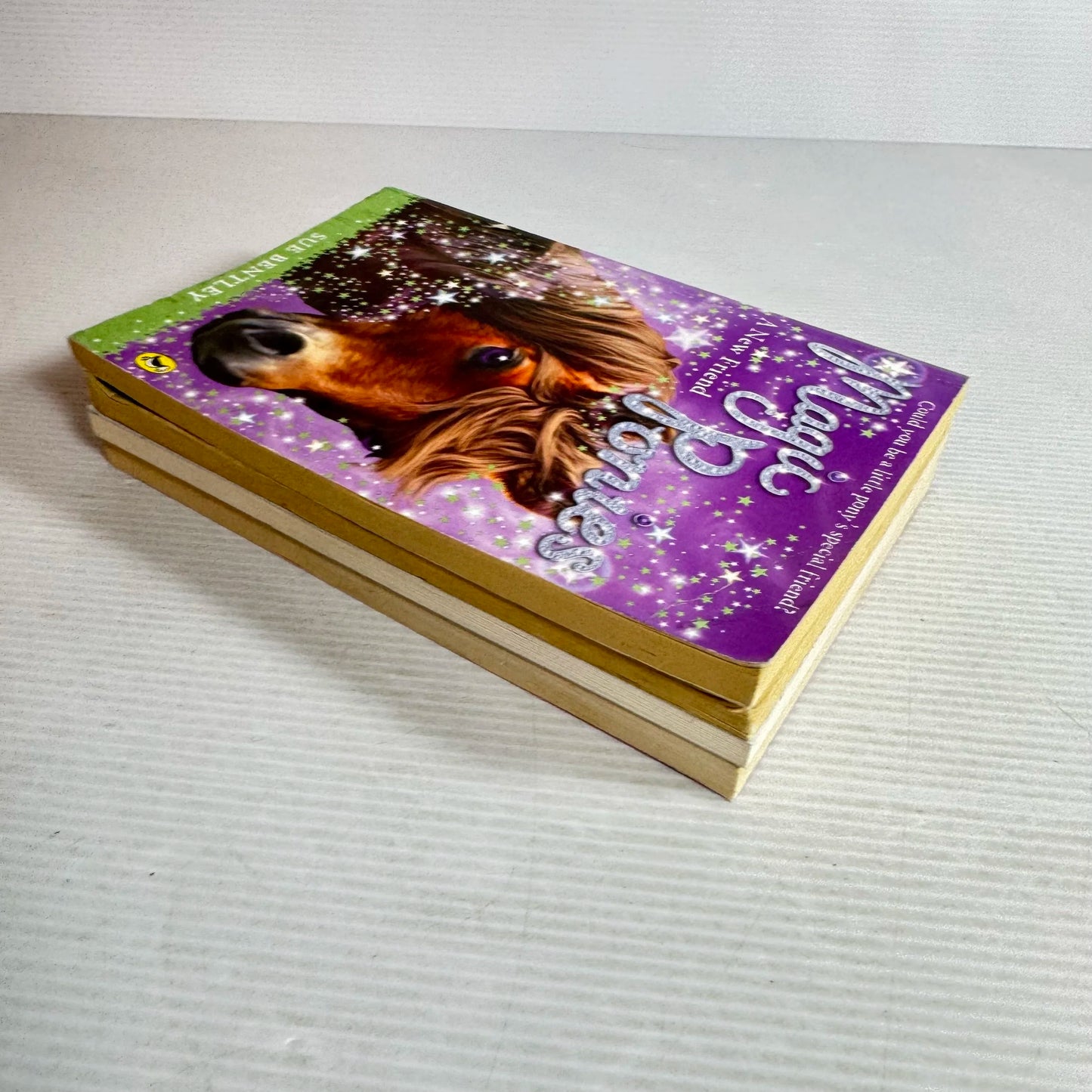Children's Magic/Fairy Book Bundle x 4 Books