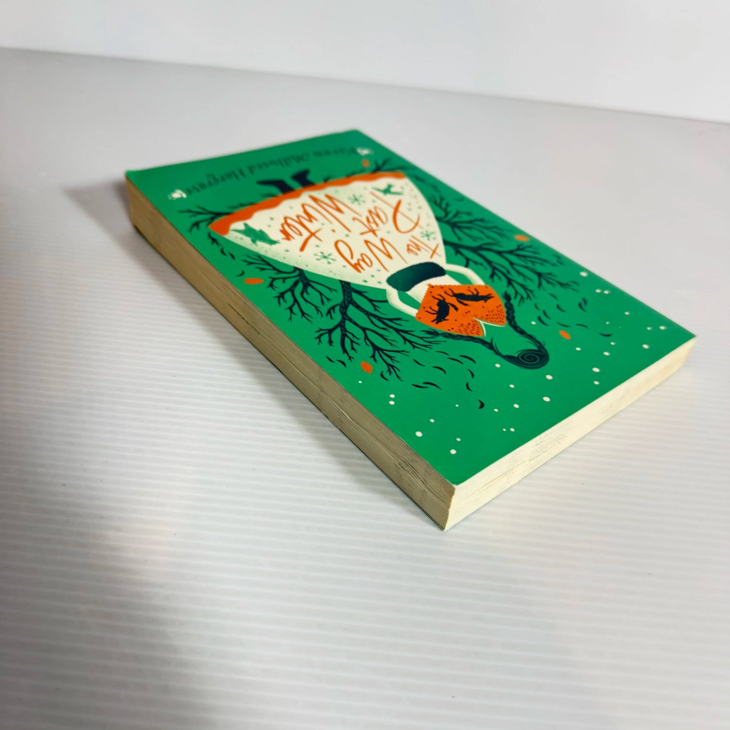 The Way Past Winter - Kiran Millwood Hargrave