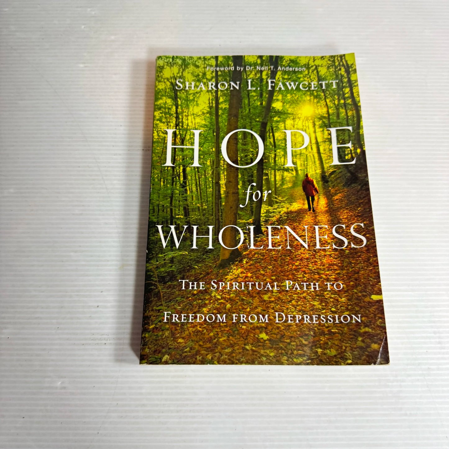 Hope for Wholeness : The Spiritual Path To Freedom From Depression - Sharon L. Fawcett