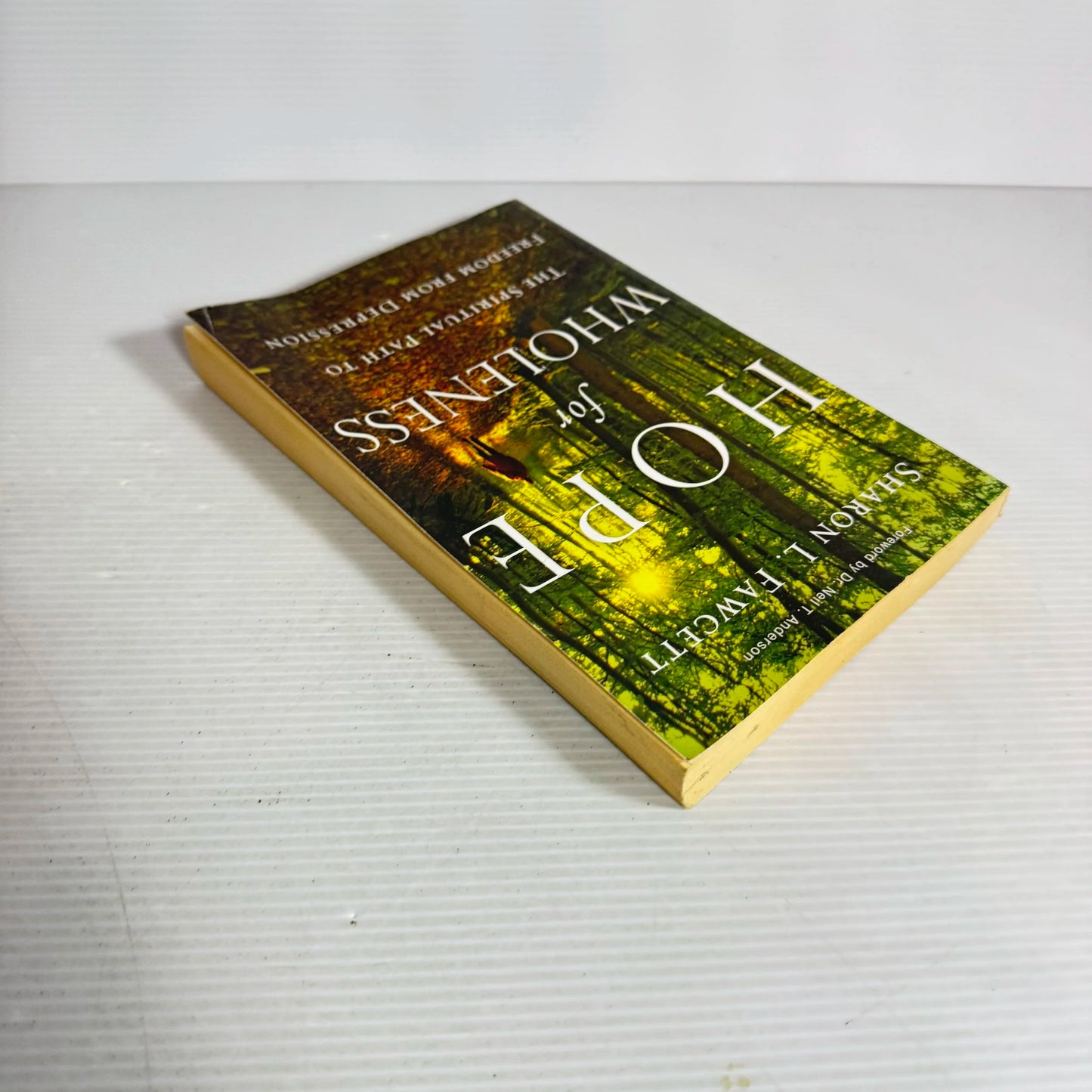 Hope for Wholeness : The Spiritual Path To Freedom From Depression - Sharon L. Fawcett