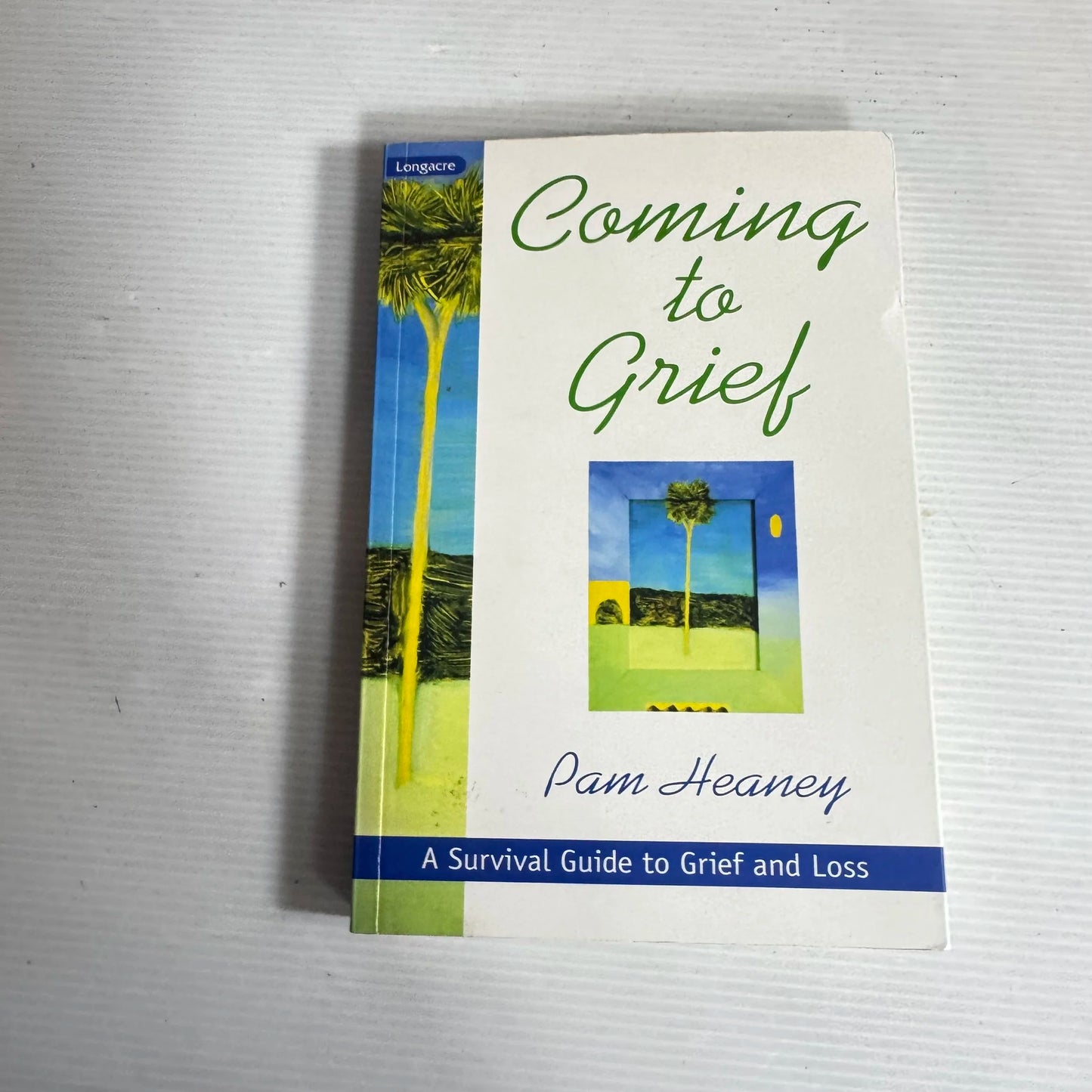 Coming To Grief: A Survival Guide To Grief And Loss - Pam Heaney