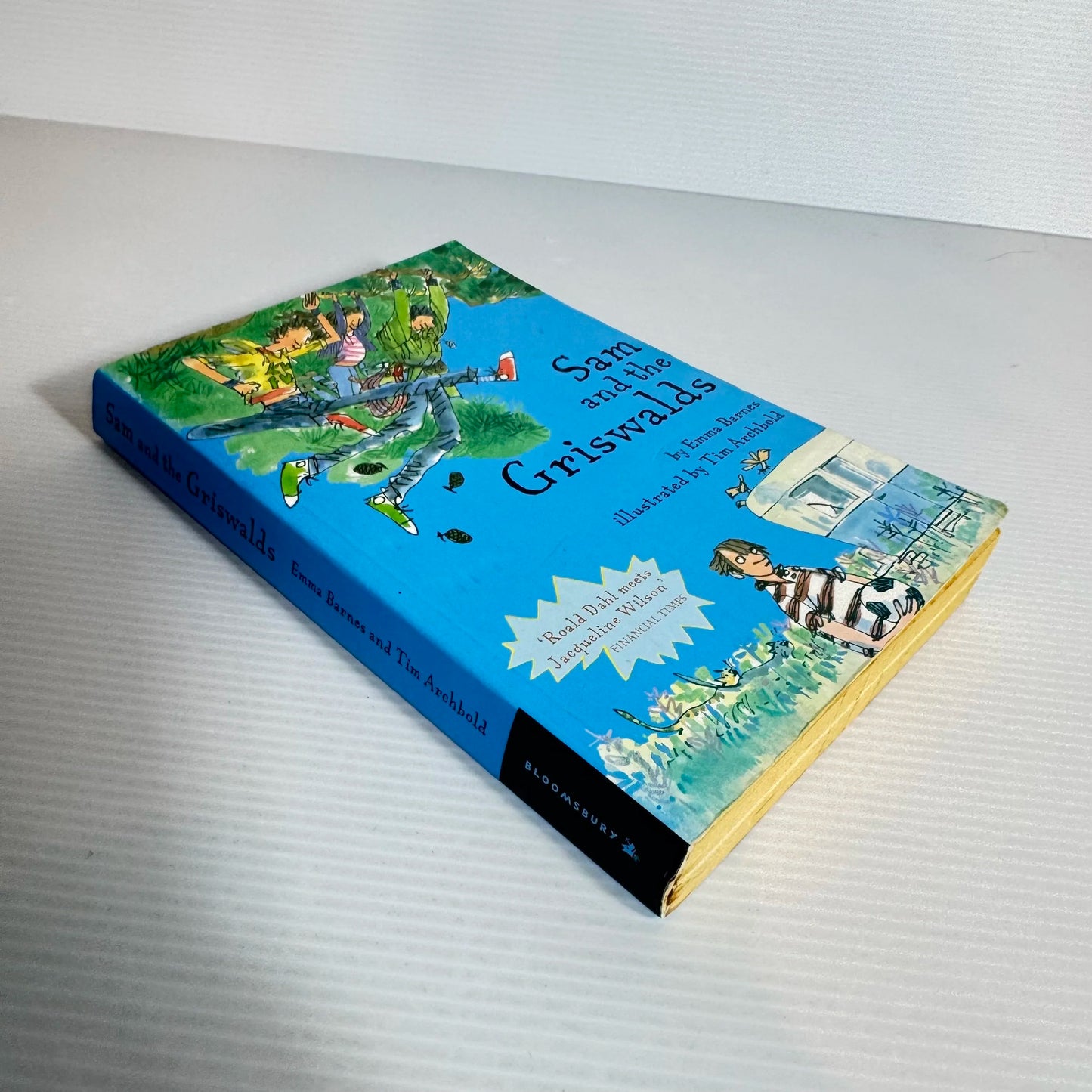 Sam and the Griswalds by Emma Barnes