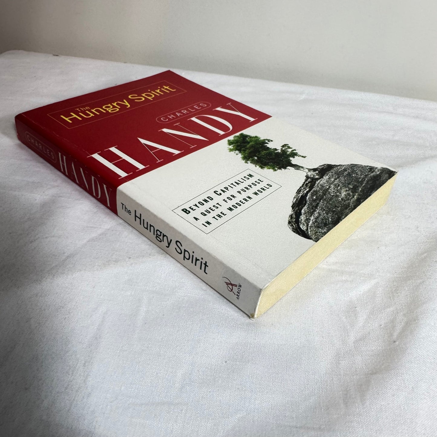 The Hungry Spirit : Beyond Capitalism a Quest for Purpose in the Modern World - Charles Handy