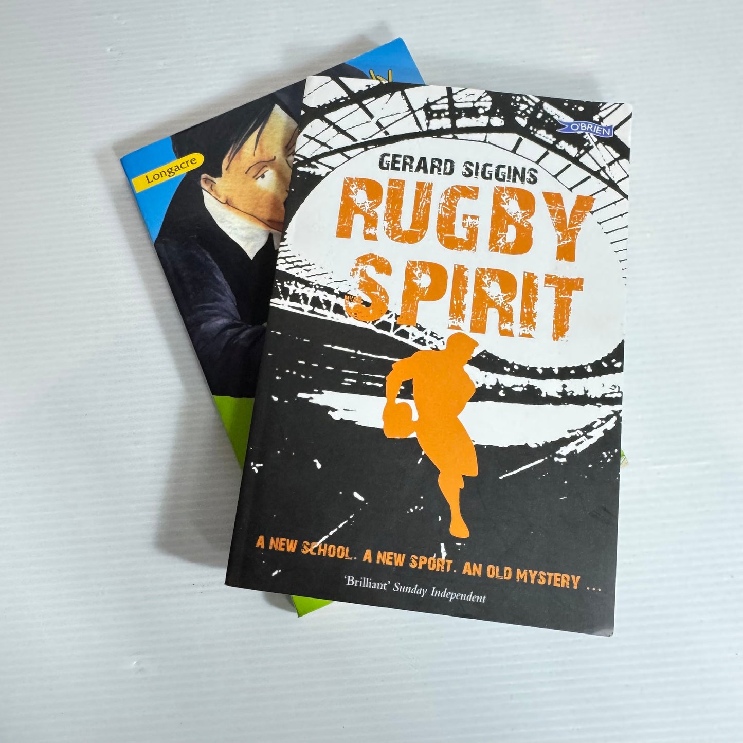 Children's Fiction Rugby Book Bundle x 2 - My Dad, the All Black and Rugby Spirit