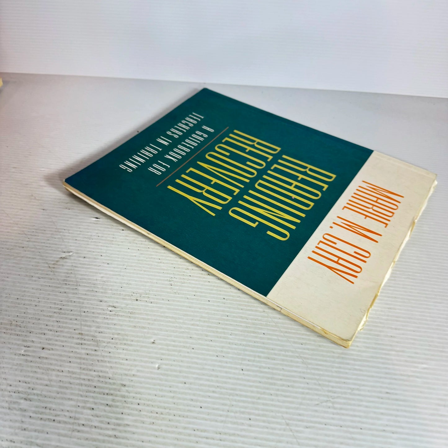 Reading Recovery : A Guidebook For Teachers In Training - Marie M. Clay
