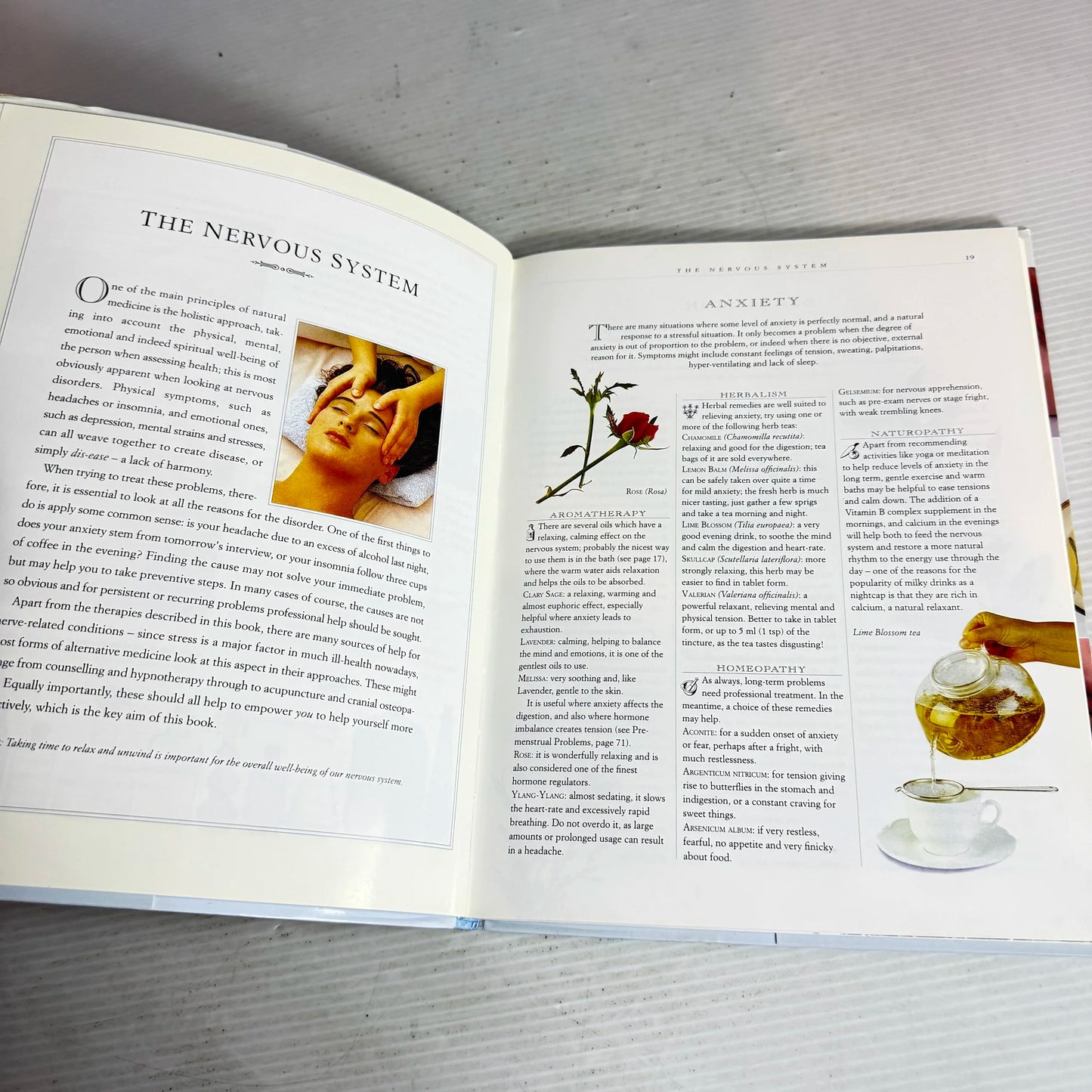 Natural Healing Handbook : A Guide to Nature's Remedies - Mark Evans, Bphil, FNIMH