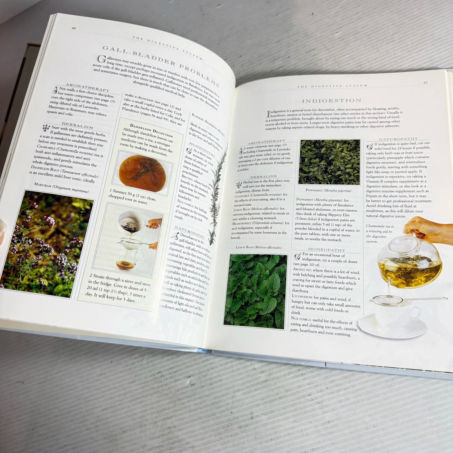 Natural Healing Handbook : A Guide to Nature's Remedies - Mark Evans, Bphil, FNIMH